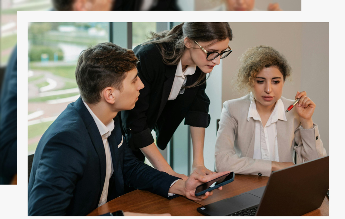 Profil online profesional